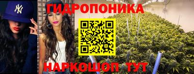 каннабис Будённовск