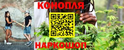 каннабис Будённовск